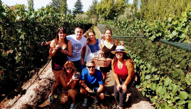 Tour de viñedos y bodegas por San Rafael - Foto 3