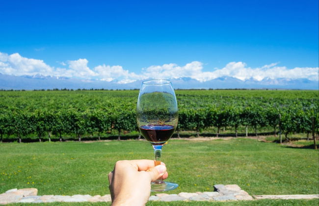 Tour de viñedos y bodegas por San Rafael - Foto 1