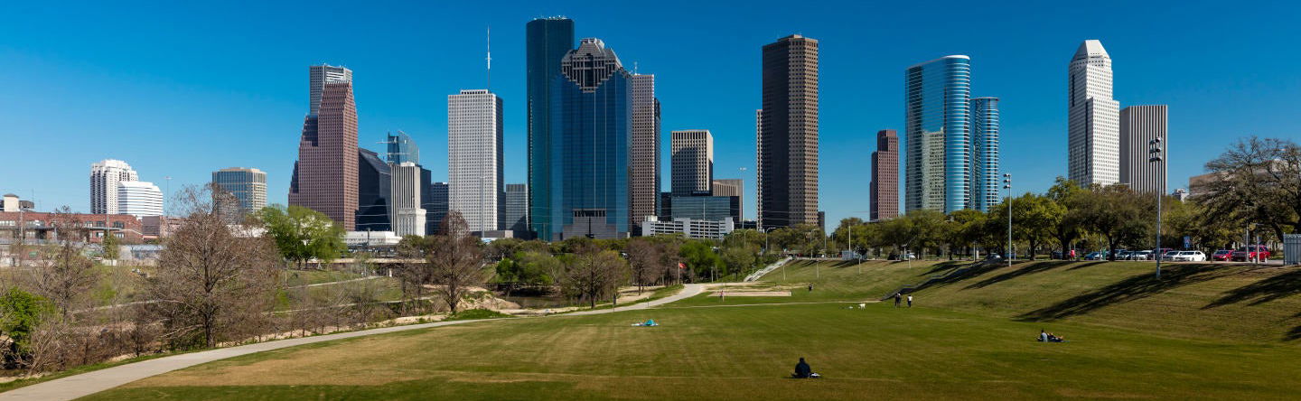 Tour panoramico di Houston - Foto 1