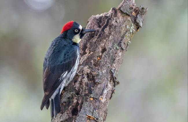 Tour de aventura en Los Filtros Viejos - Foto 7