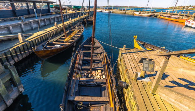 Excursion à Roskilde - Photo 3