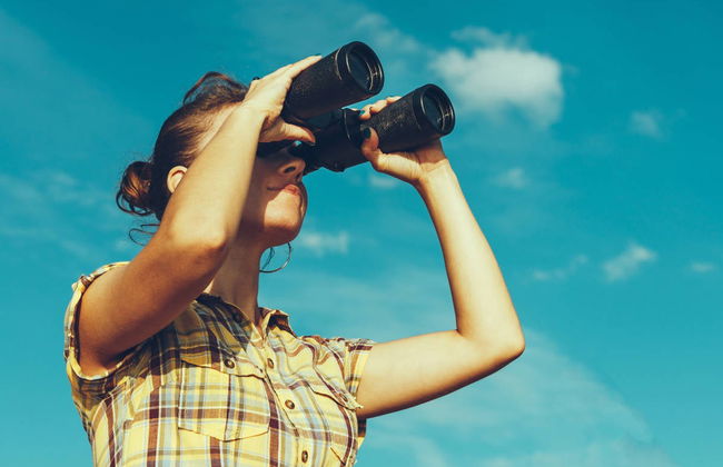 Avistamiento de aves en Badajoz - Foto 1