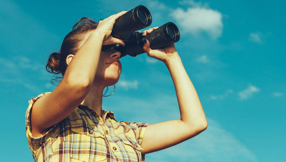 Avistamiento de aves en Badajoz - Foto 1