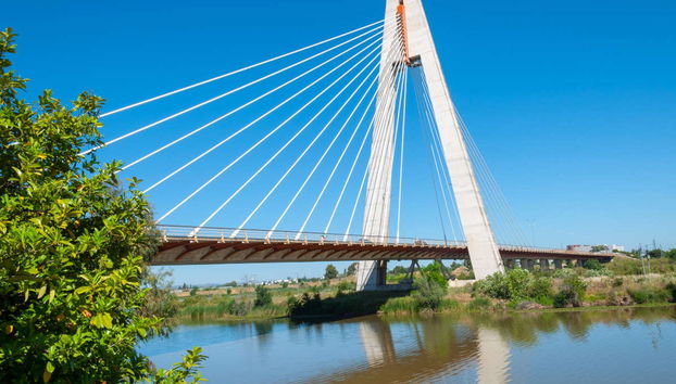 Avistamiento de aves en Badajoz - Foto 4