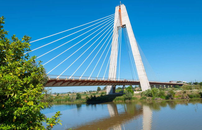 Avistamiento de aves en Badajoz - Foto 4