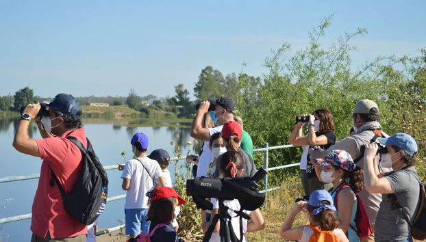 Avistamiento de aves en Badajoz - Foto 5