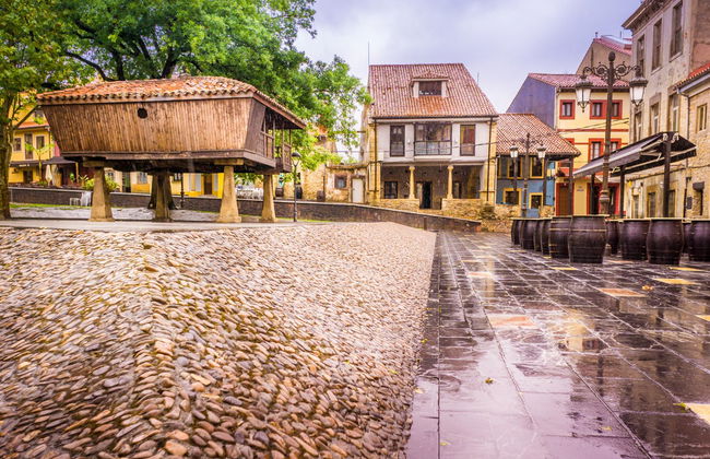 Excursión a Avilés, Cudillero y Luarca - Photo 6