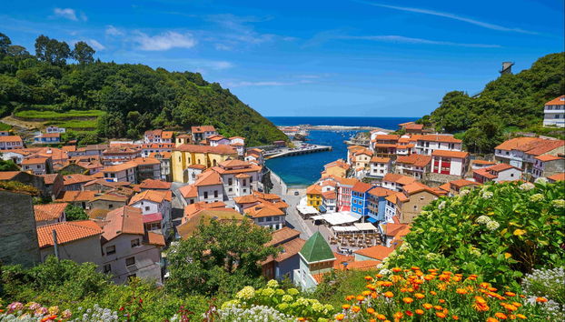 Excursión a Avilés, Cudillero y Luarca - Foto 3