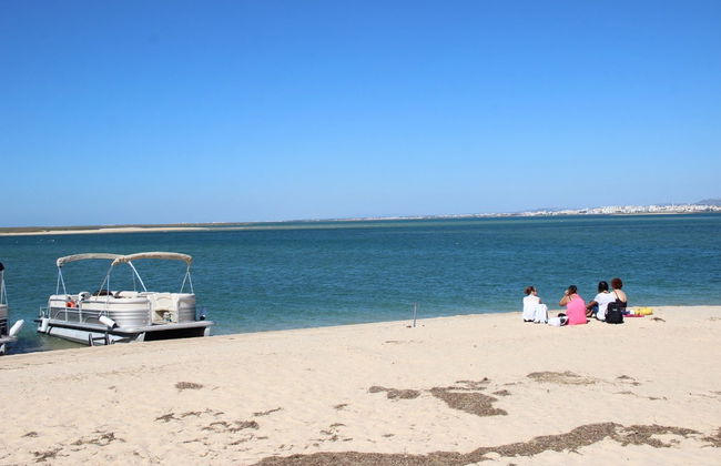 Avistamiento de aves en la Ría Formosa - Foto 6