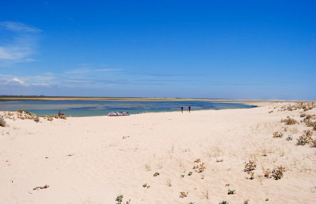 Avistamiento de aves en la Ría Formosa - Foto 7
