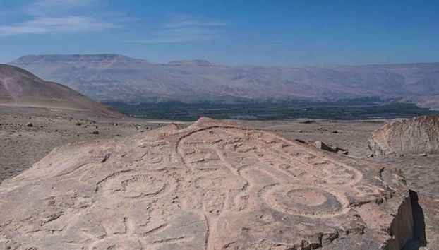 Tour del pisco y el vino por el Valle de Majes - Foto 5