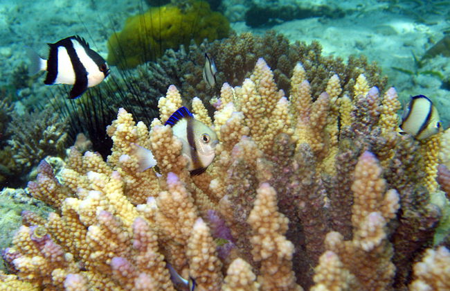 Tumbatu Island Private Day Trip - Photo 4