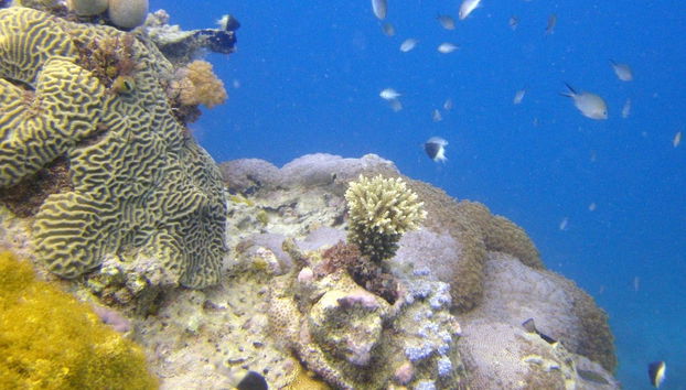 Excursion à l'île de Tumbatu - Photo 2