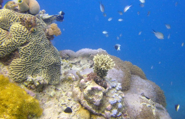 Excursión a la isla de Tumbatu - Foto 2