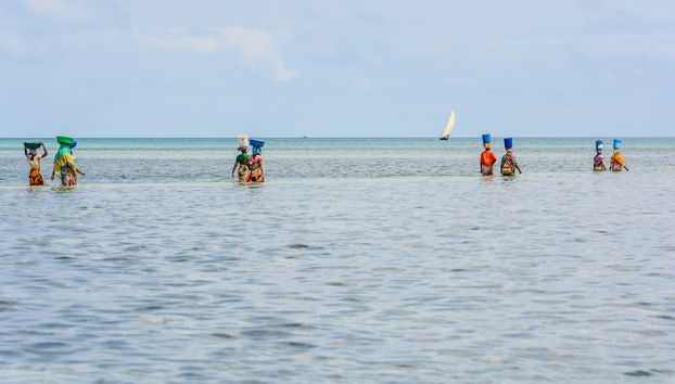 Excursion à l'île de Tumbatu - Photo 4