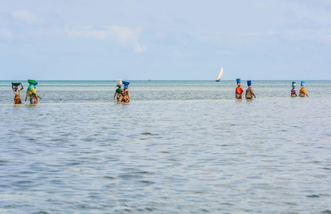 Excursión a la isla de Tumbatu - Foto 4