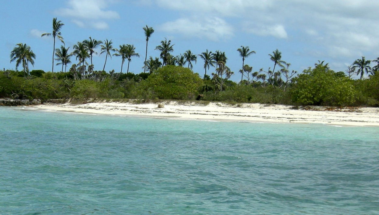 Excursion à l'île de Tumbatu - Photo 1