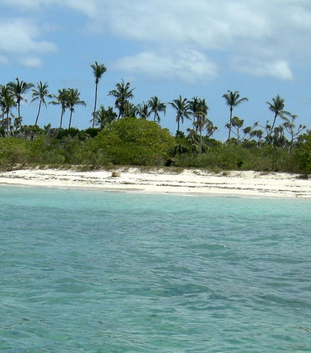 Foto de Excursión a la isla de Tumbatu