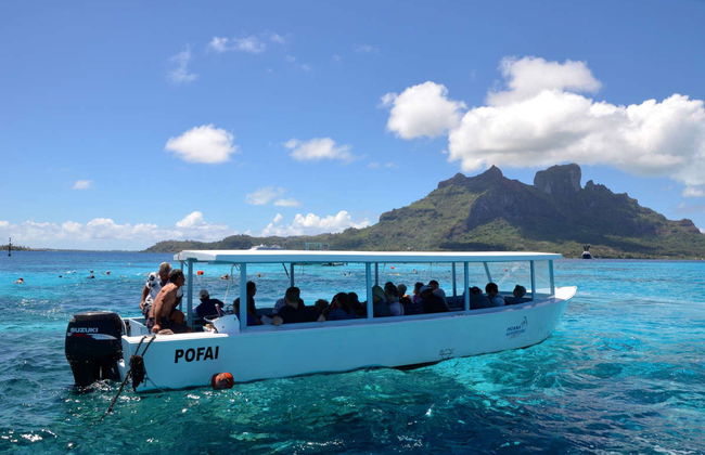 Passeio de barco com visão submarina - Foto 4