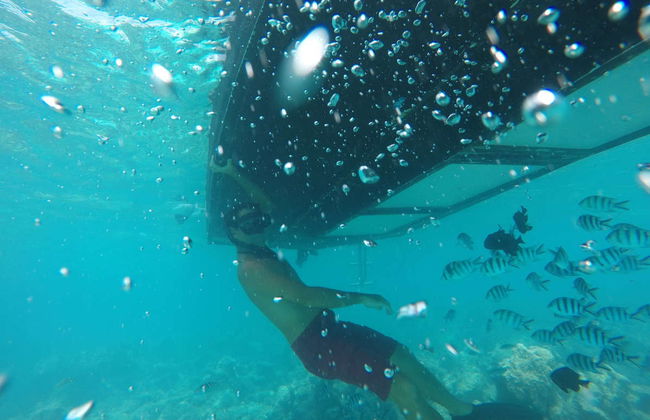 Passeio de barco com visão submarina - Foto 6