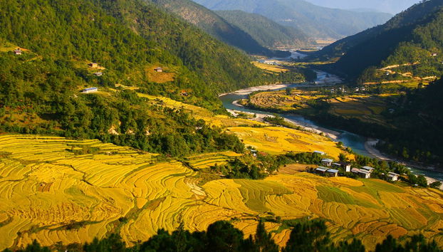 Bhutan 5 Day Private Tour - Photo 5