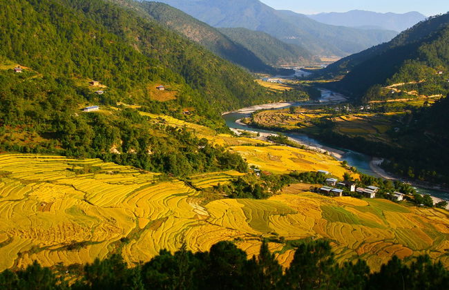 Bhutan 5 Day Private Tour - Photo 5