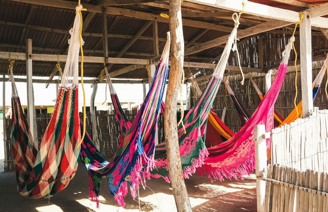 Visita a una ranchería wayúu - Foto 2