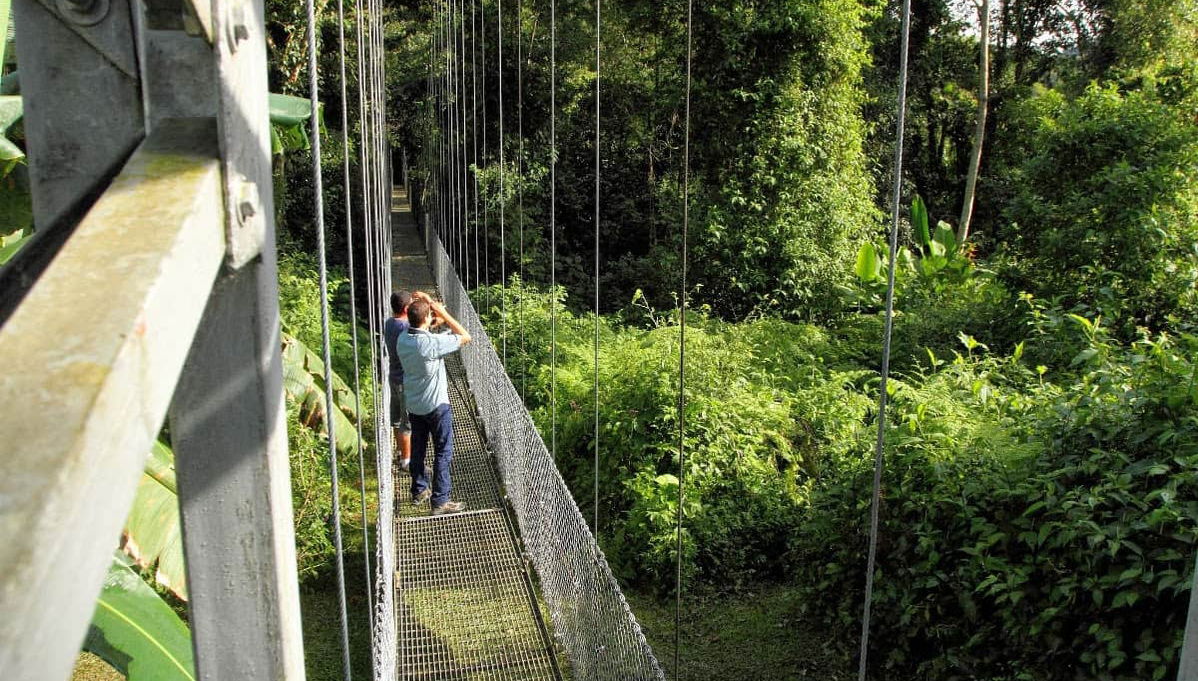 Tour dei Ponti Sospesi di Mistico Park - Foto 1