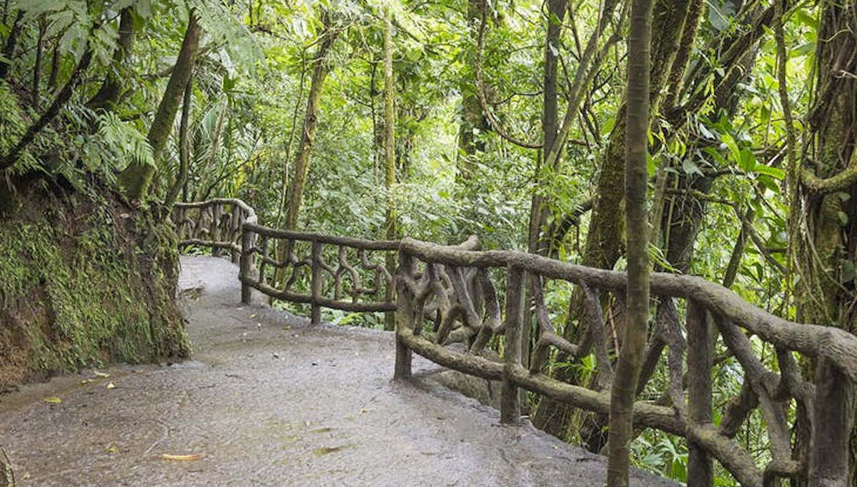 Tour dei ponti sospesi di Arenal - Foto 1