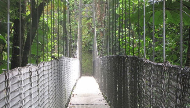 Tour dei Ponti Sospesi di Mistico Park - Foto 4