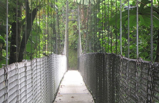 Tour por los puentes colgantes de Mistico Park - Foto 4