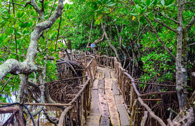 Coron Guided Tour - Foto 7