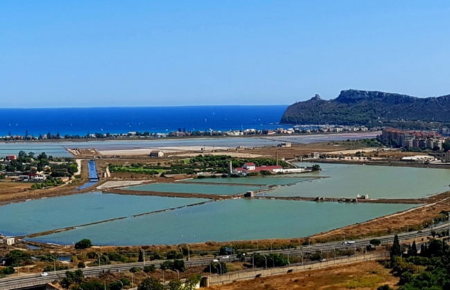 Nora Archeological Site Trip - Photo 6