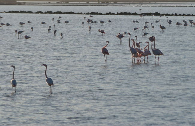 Nora Archeological Site Trip - Photo 5