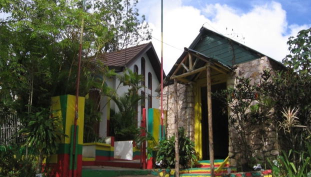 Tour de Bob Marley + Cascadas del río Dunn - Foto 3