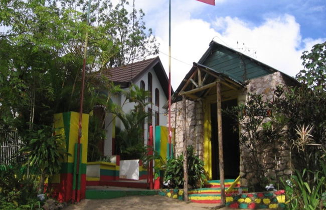 Tour de Bob Marley + Cascadas del río Dunn - Foto 3