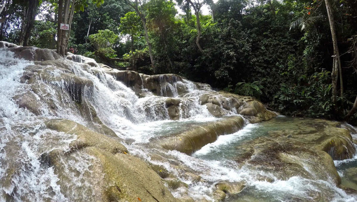 Excursión a las cascadas del río Dunn - Foto 1
