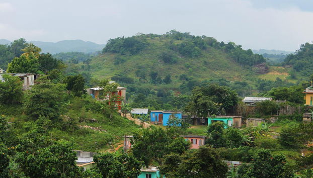 Tour de Bob Marley + Cascadas del río Dunn - Foto 4