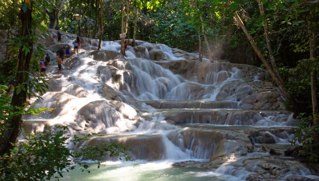 Tour de Bob Marley + Cascadas del río Dunn - Foto 2