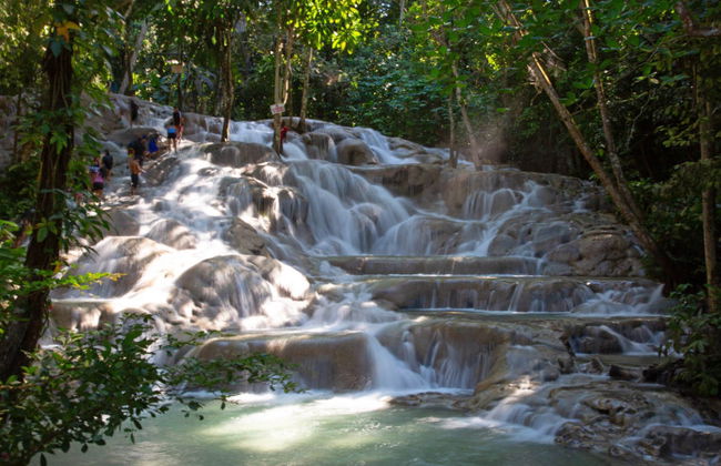 Tour de Bob Marley + Cascadas del río Dunn - Foto 2