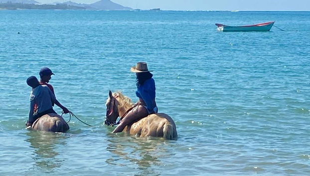 Puerto Plata Beach Horseback Ride - Photo 4