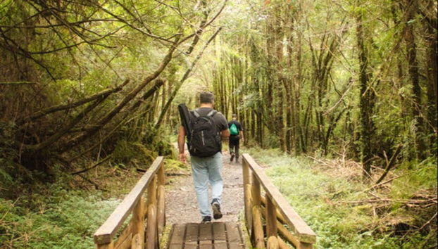 Private Tours from Puerto Montt - Photo 2