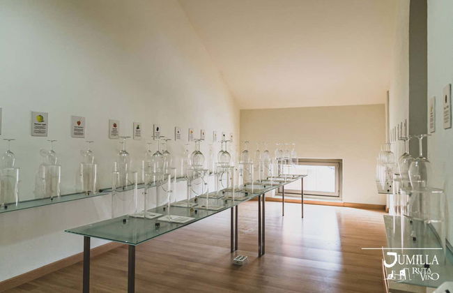 Visita a las bodegas Silvano García - Foto 7
