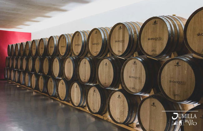 Visita a las bodegas Silvano García - Foto 6