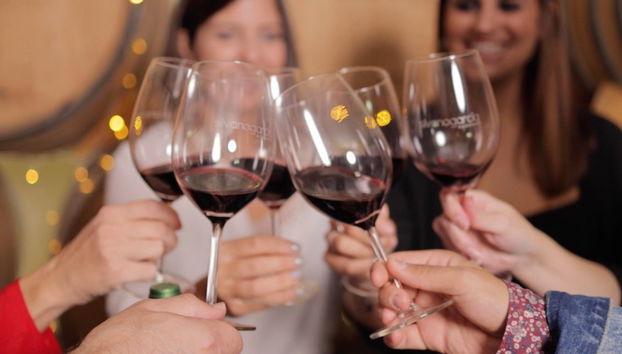 Wine Tasting at the Bodegas Silvano García - Foto 2