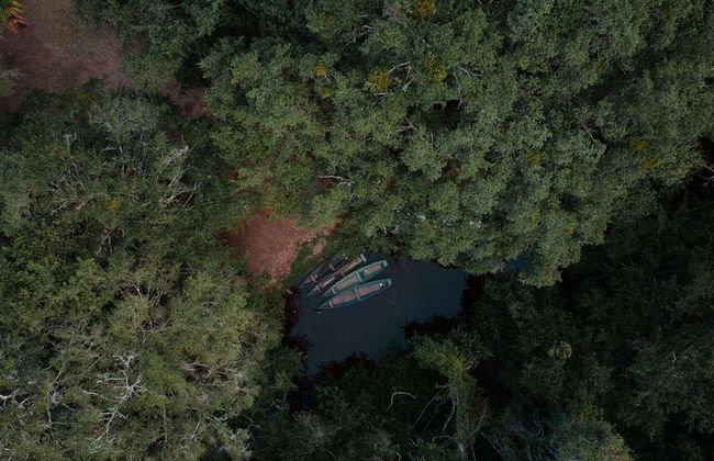 Excursão privada à reserva Tingana - Foto 9