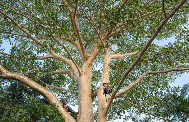 Tingana Nature Reserve Private Day Trip - Foto 7