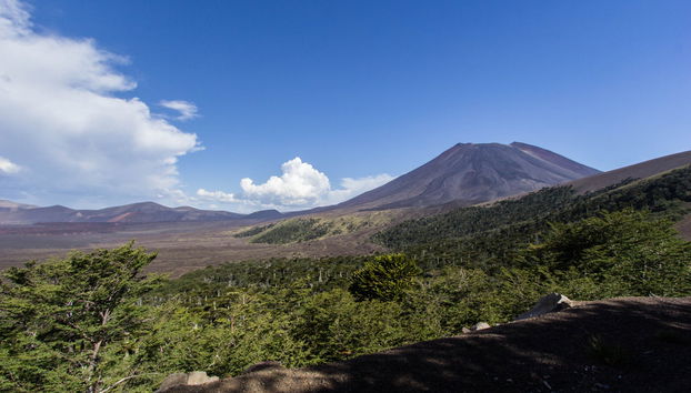 Trekking de ascenso al cráter Navidad - Foto 5