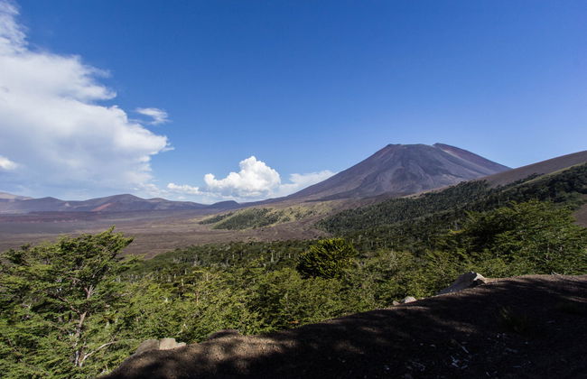 Lonquimay Volcano Hiking Excursion - Photo 5