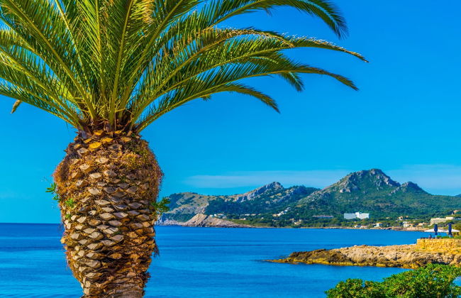 Giro in catamarano delle cale del nord di Sa Coma - Foto 7